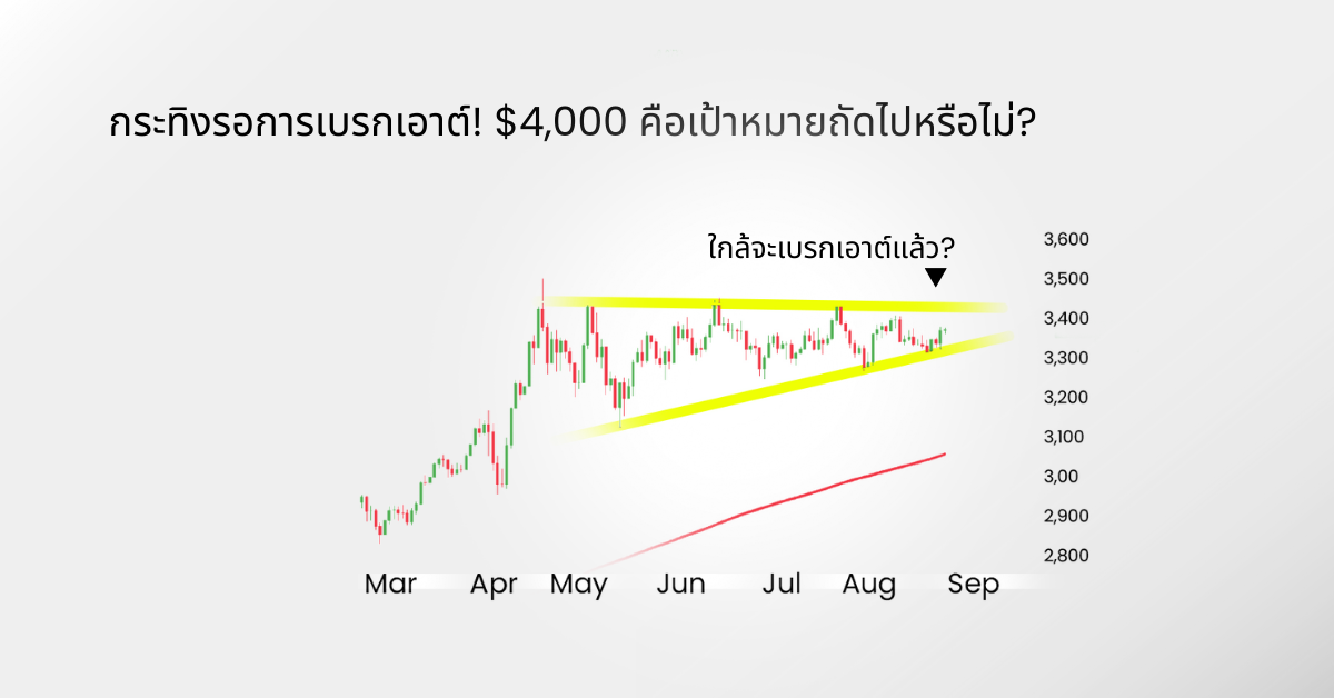 ดอกเบี้ยขาลง : ทองคำคือโอกาส?